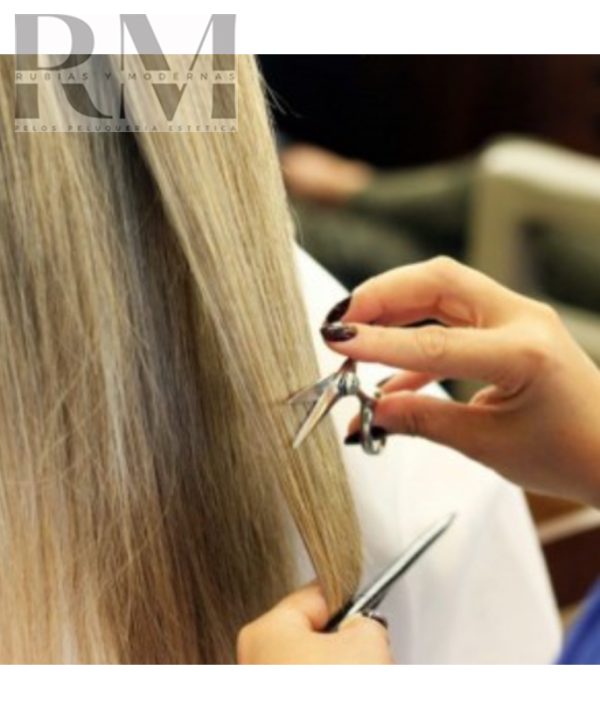 Corte Bordado + Lavado Normal